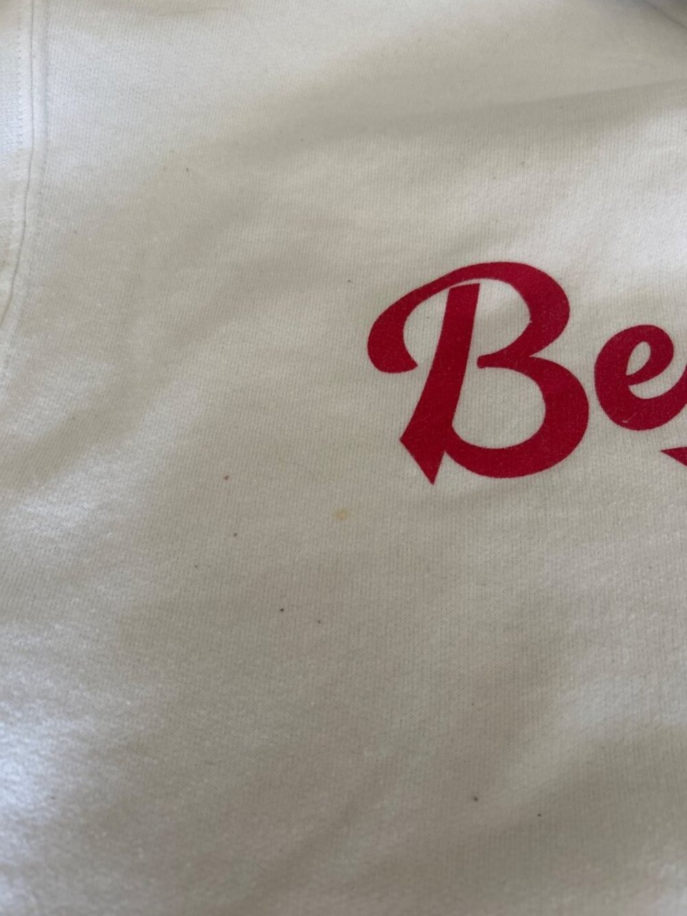 Champion Eco White "Benedictine" Hoodie Medium Red Printed Script Logo Size M - Picture 6 of 11